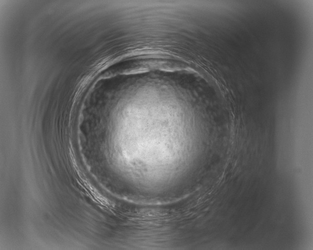 X0000086100145200703231444