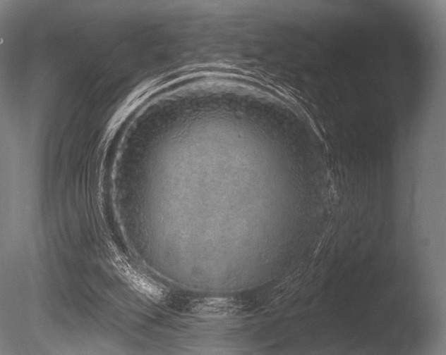 X0000086100151200703231444