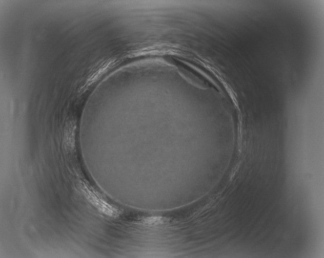X0000086100153200703231444