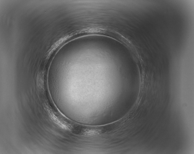 X0000086100155200703231444
