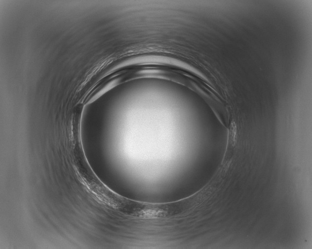 X0000086100158200703231444