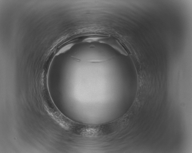 X0000086100163200703231444
