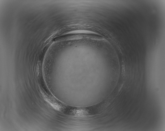 X0000086100165200703231444