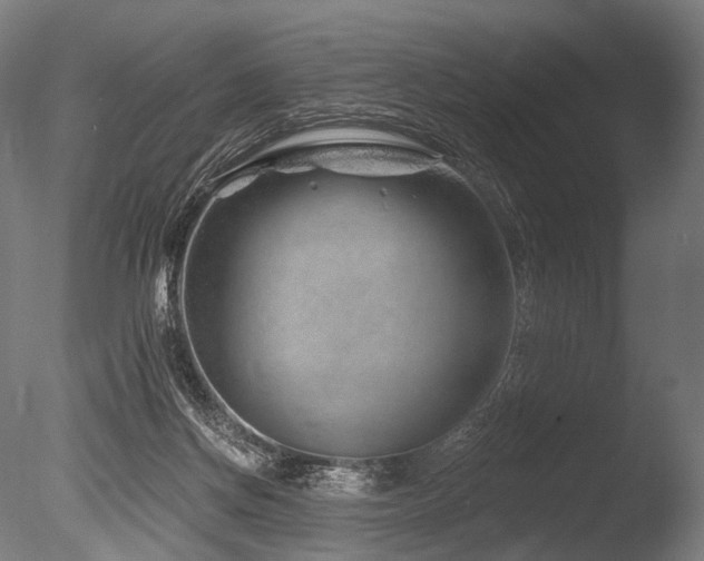 X0000086100166200703231444