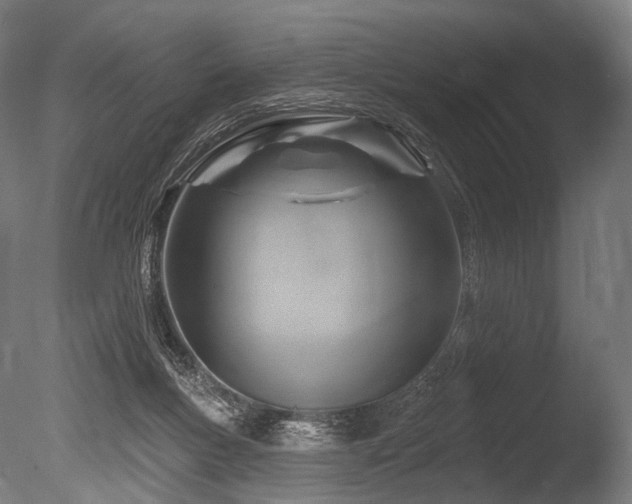 X0000086100167200703231444