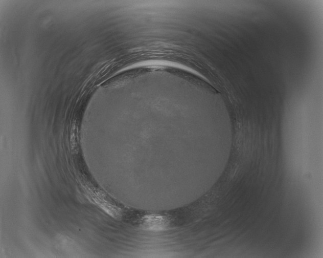 X0000086100169200703231444