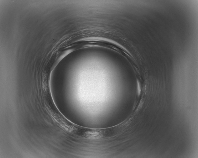 X0000086100170200703231444