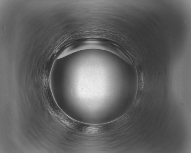 X0000086100176200703231444