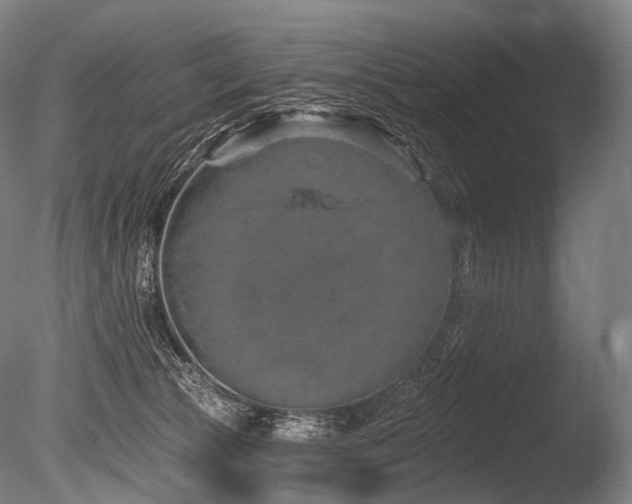 X0000086100177200703231444