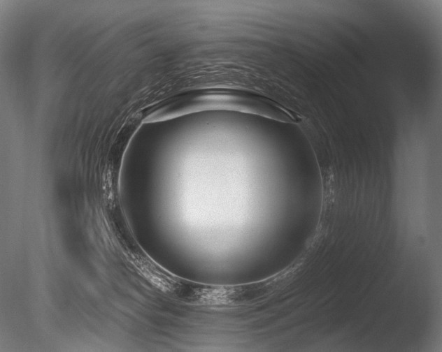 X0000086100182200703231444