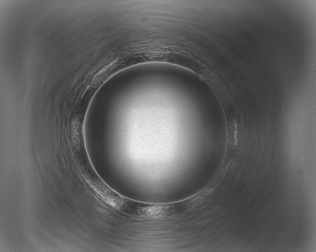 X0000086100184200703231444