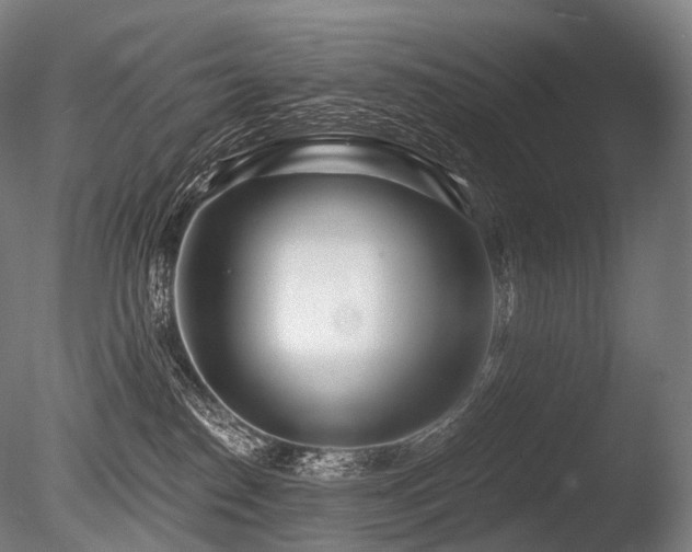 X0000086100186200703231444
