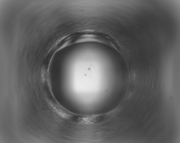 X0000086100188200703231444