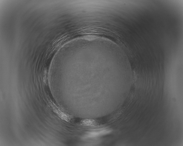 X0000086100189200703231444
