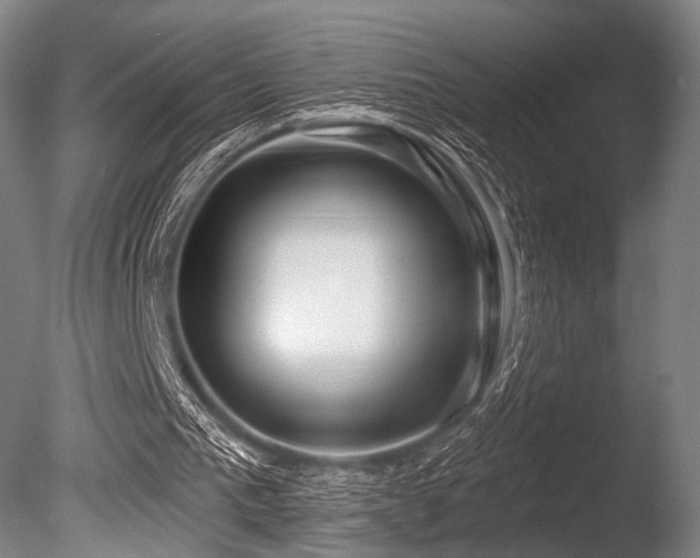 X0000086100193200703231444