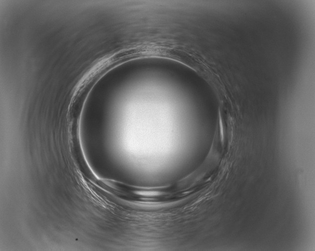 X0000086100197200703231444