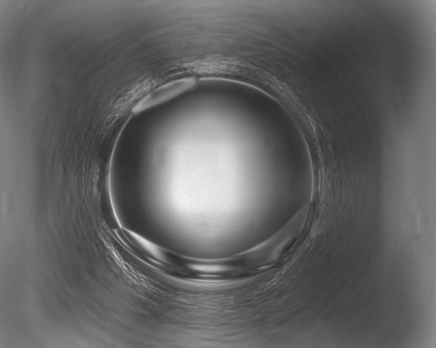 X0000086100201200703231444