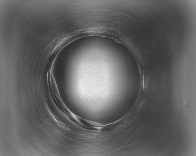 X0000086100205200703231443