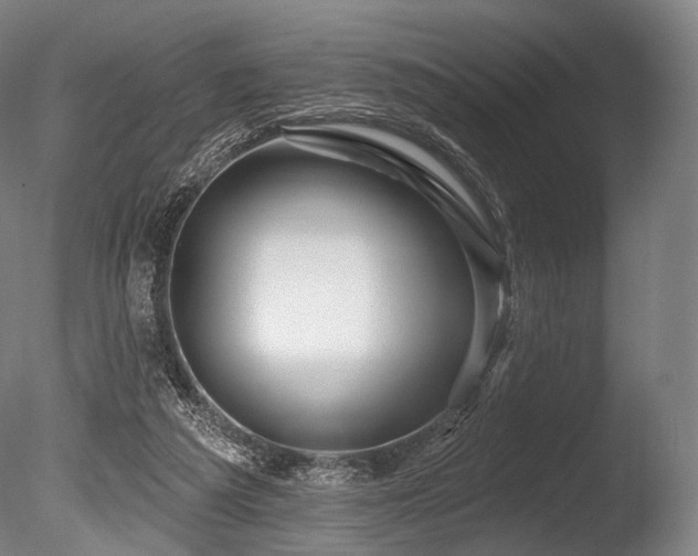X0000086100209200703231443