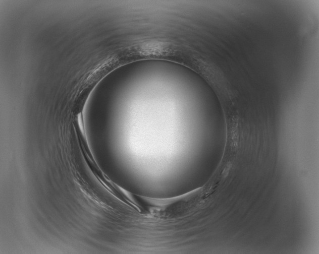 X0000086100211200703231443