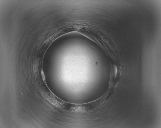 X0000086100221200703231443
