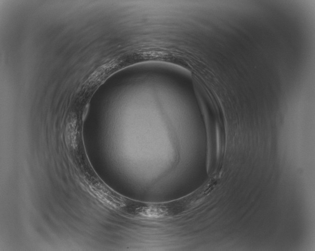 X0000086100223200703231443