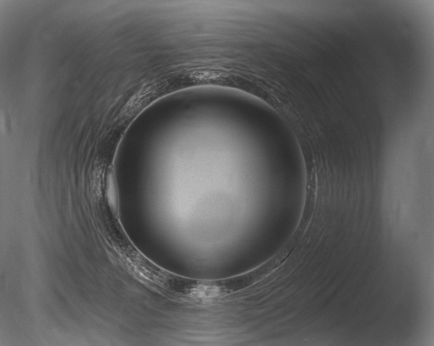 X0000086100227200703231443