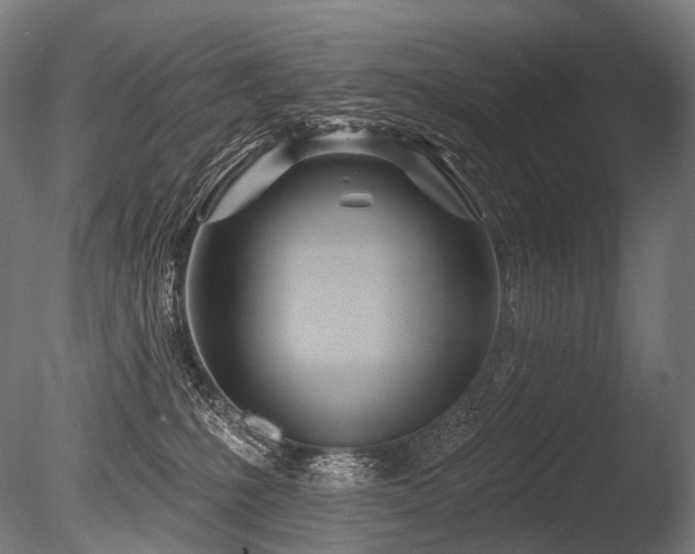 X0000086100231200703231443