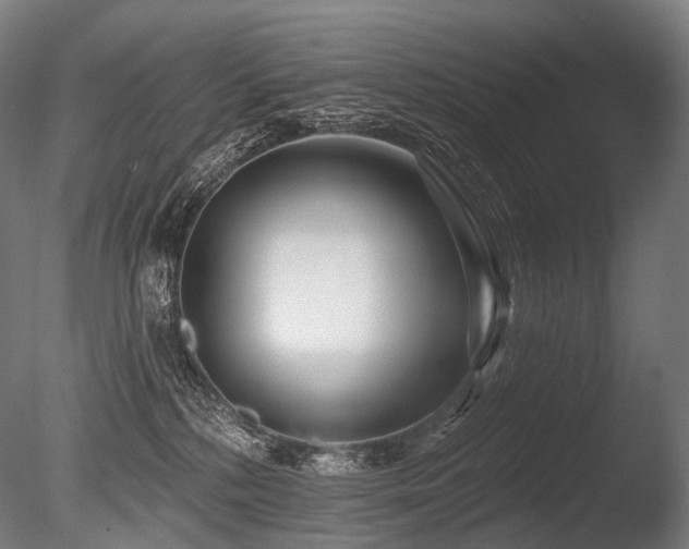 X0000086100232200703231443