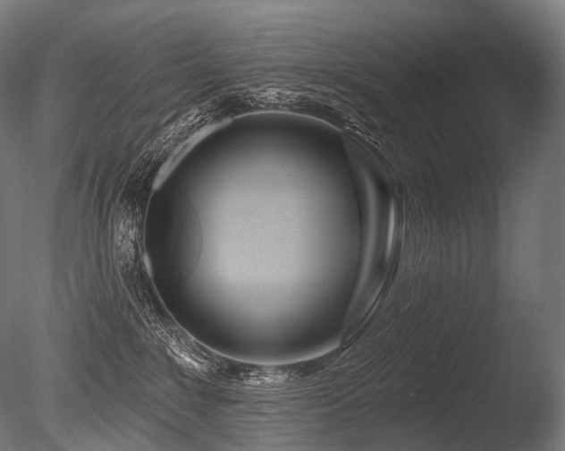 X0000086100235200703231443