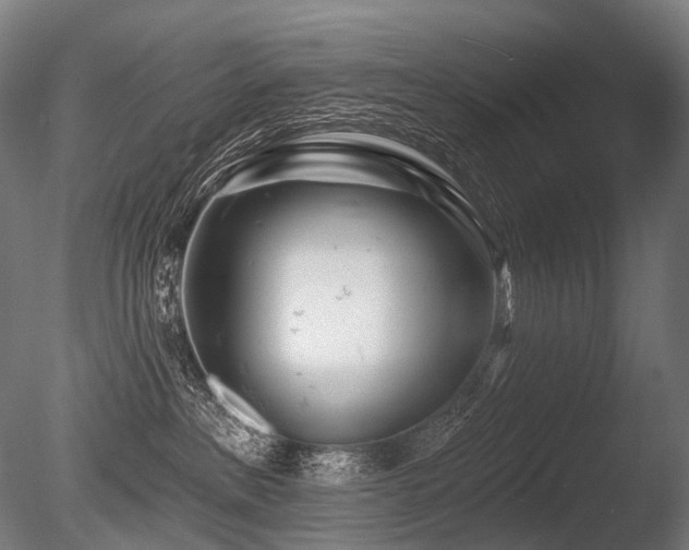 X0000086100237200703231443