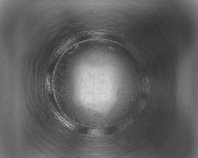 X0000086100238200703231443