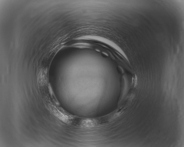 X0000086100239200703231443