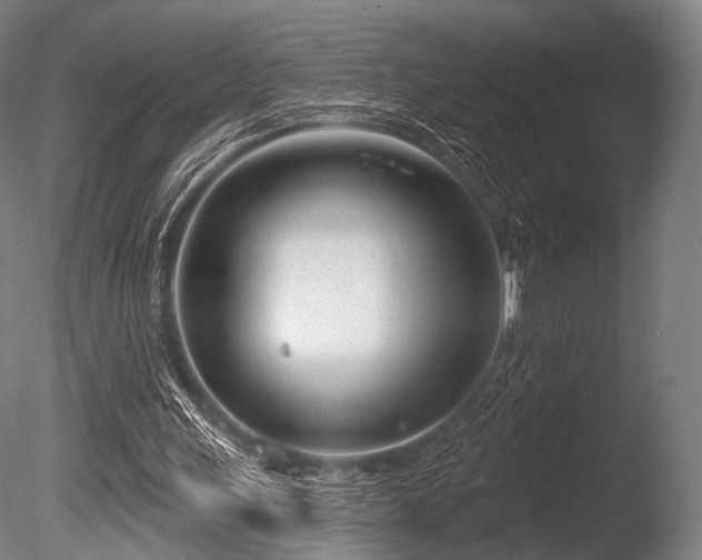 X0000086100243200703231442