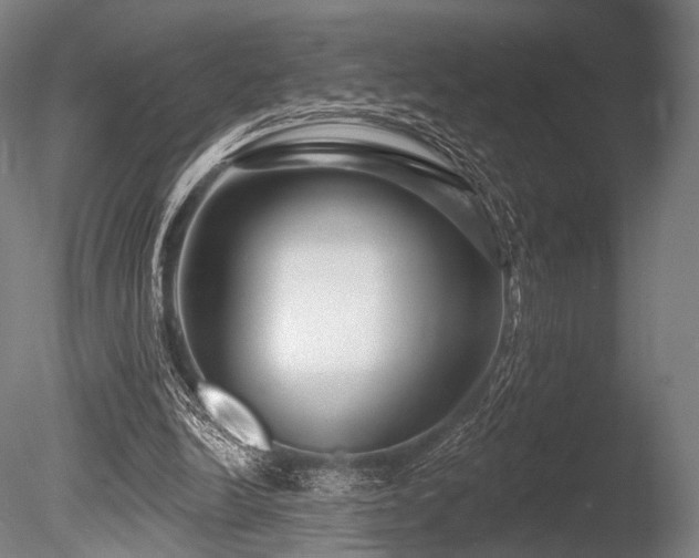 X0000086100246200703231442
