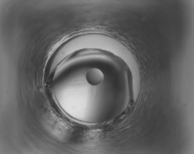 X0000086100248200703231442