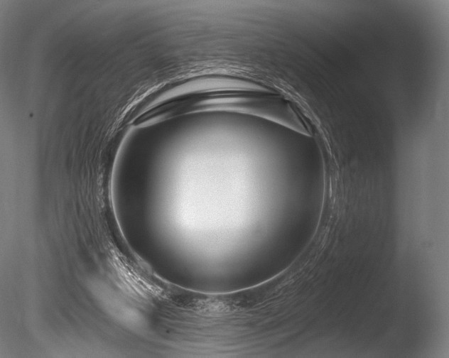 X0000086100249200703231442
