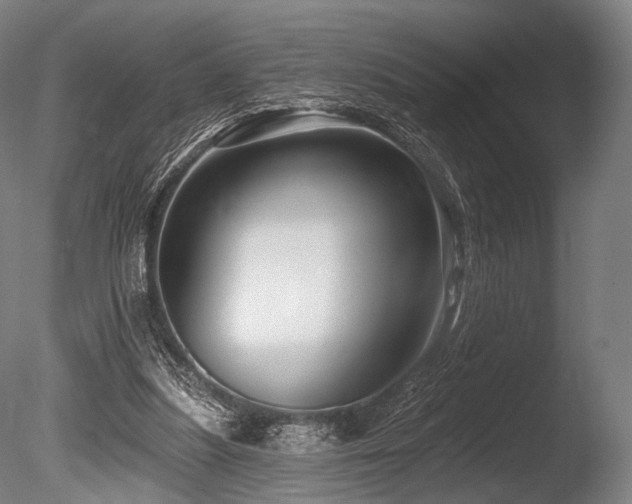 X0000086100251200703231442