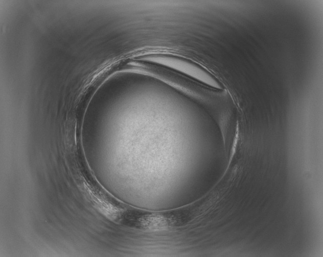 X0000086100253200703231442
