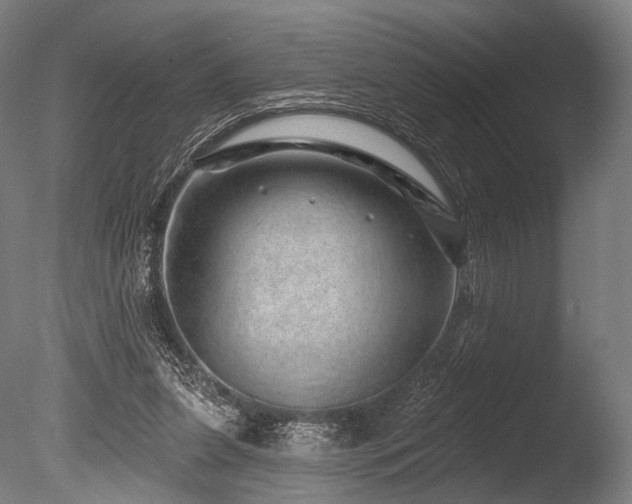 X0000086100255200703231442