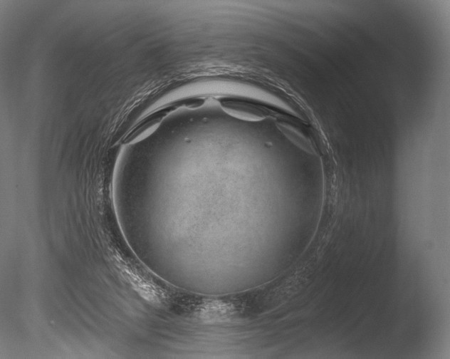 X0000086100257200703231442