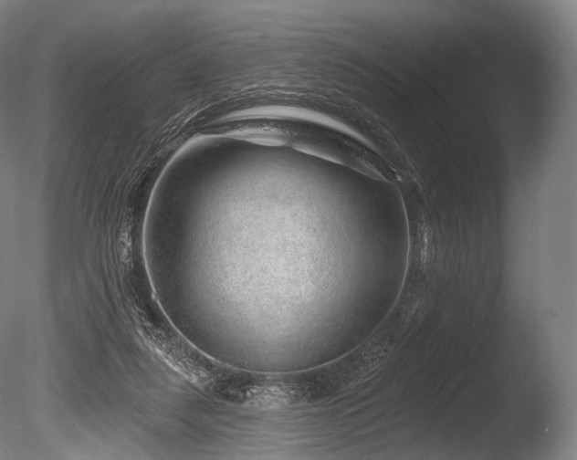 X0000086100259200703231442