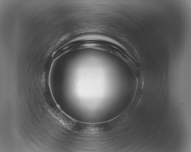 X0000086100260200703231442