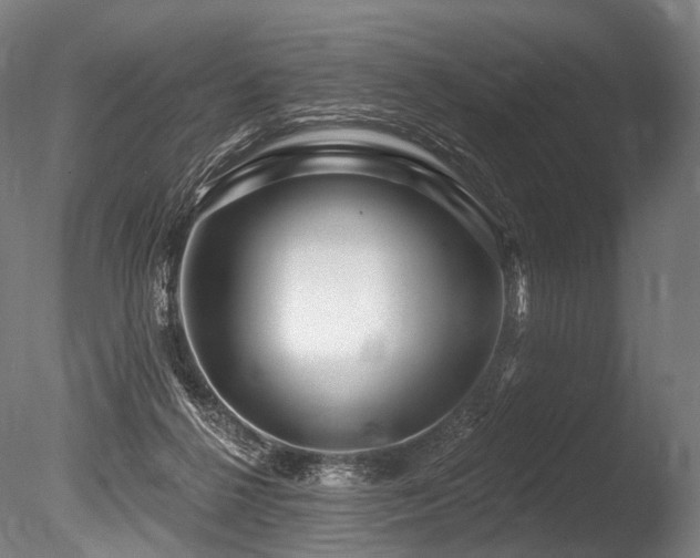X0000086100264200703231442