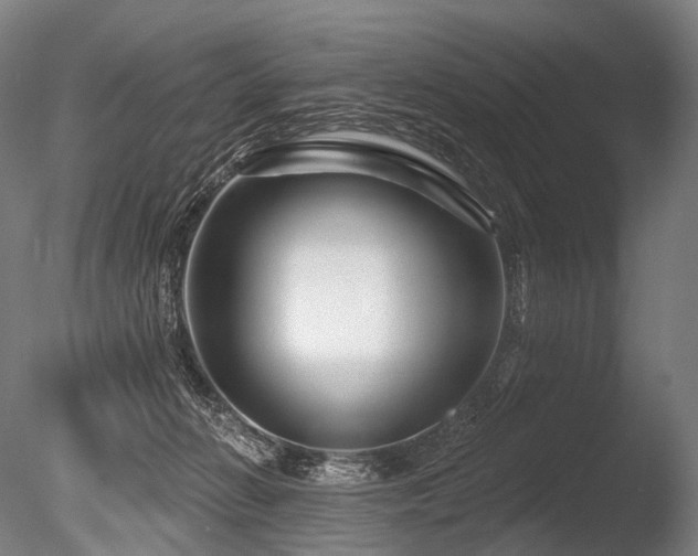 X0000086100270200703231443