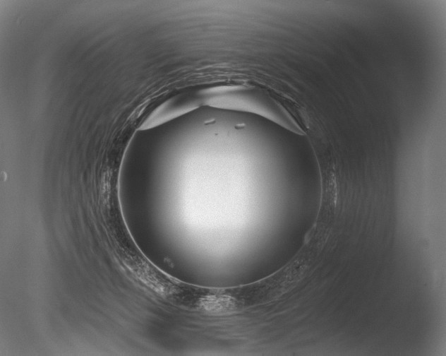 X0000086100271200703231443