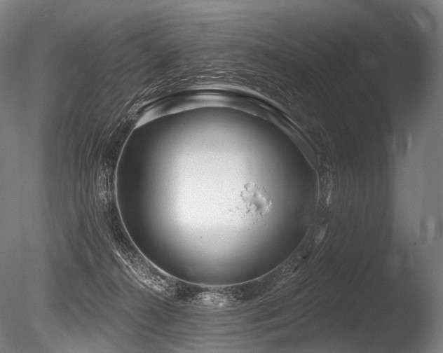 X0000086100272200703231443