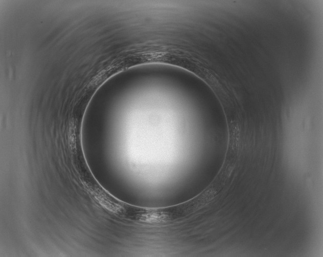 X0000086100274200703231443