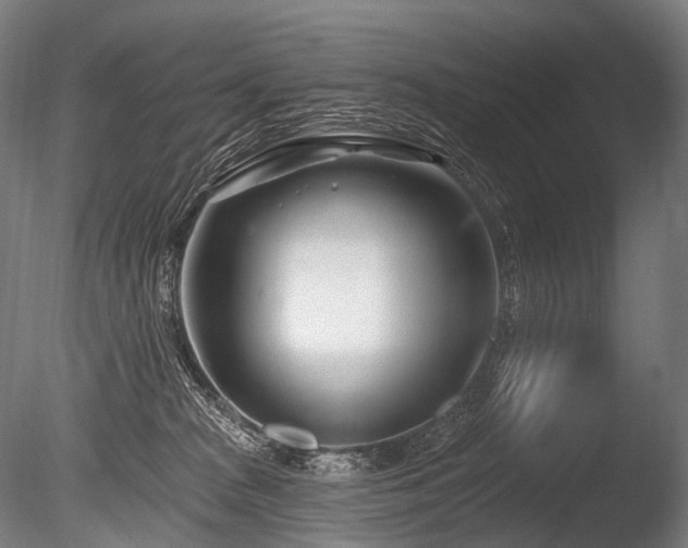 X0000086100277200703231443