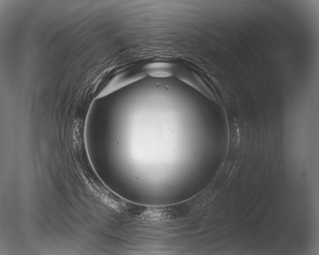 X0000086100280200703231443